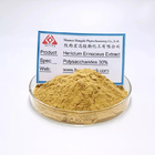 Lion Mane Extract Powder For Weak Digestion 24 Months Shelf Life