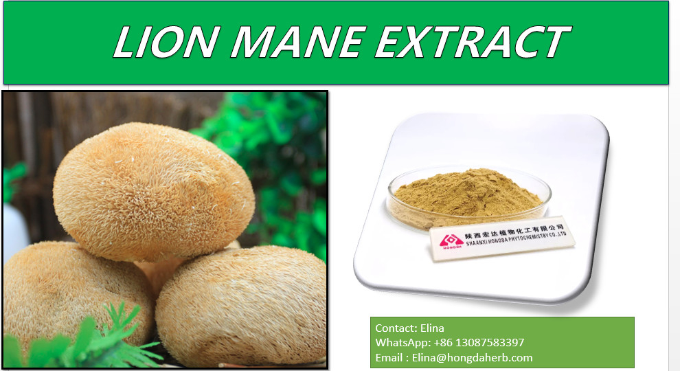 30% Specification Natural Hericium Erinaceus Extract Storage Keep In A Cool