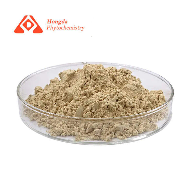 Healthy Natural Organic Ginseng Extract Powder With Ash ≤5% For Sale