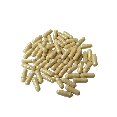 كبسولات إستخراج Hericium Erinaceus الطبيعية بنسبة 30% من شركة HONGDA