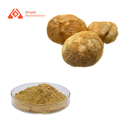 30% المواصفات الكبسولات الطبيعية Hericium Erinaceus للرعاية الصحية